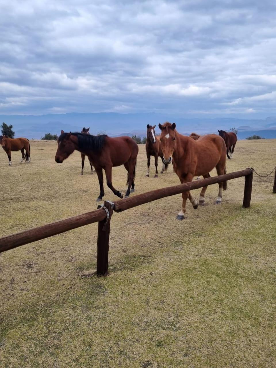 Drakensberg Mountain Retreat Bergville Exterior foto