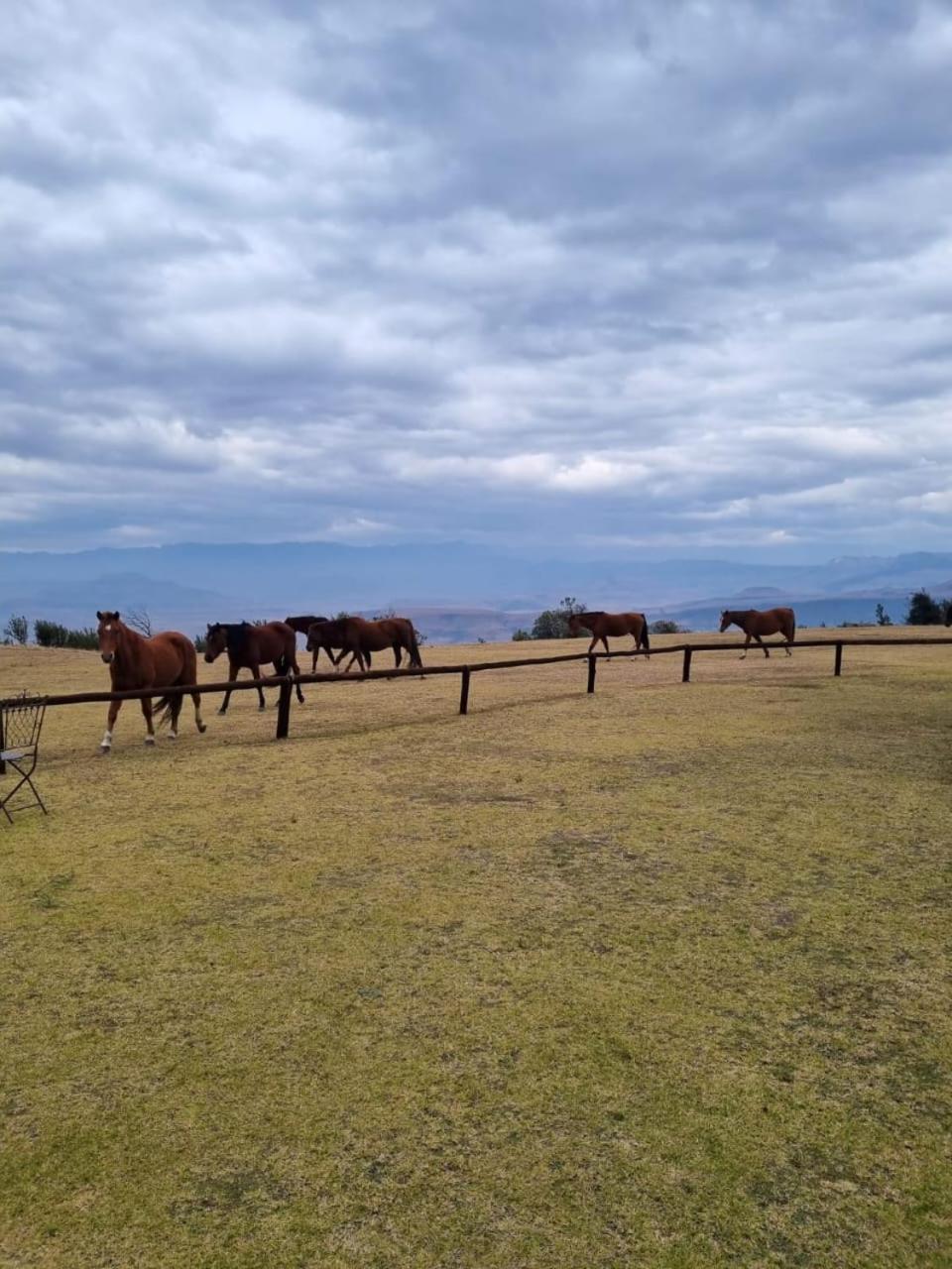 Drakensberg Mountain Retreat Bergville Exterior foto